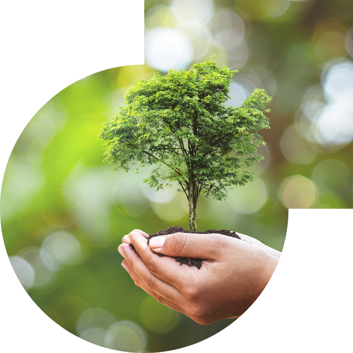 关怀人类、文化、环境与社会